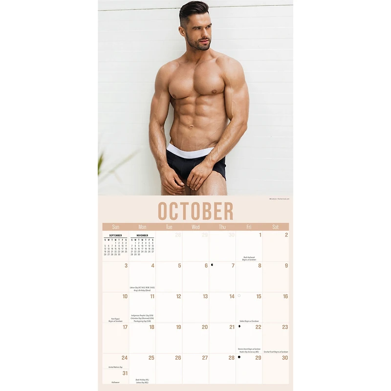 Hunks in Trunks 2027 Wall Calendar