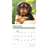 Puppies 2027 Wall Calendar
