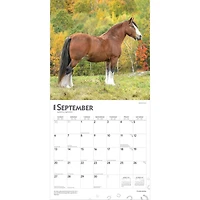 Clydesdales 2026 Wall Calendar - Online Only