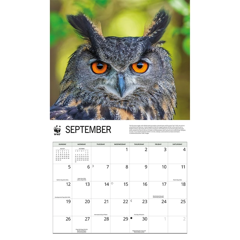 World Wildlife Fund Owls 2027 Wall Calendar