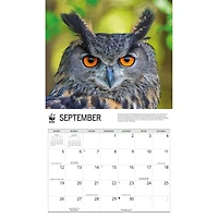 World Wildlife Fund Owls 2027 Wall Calendar