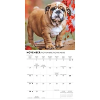 Bulldog Puppies 2027 Mini Calendar