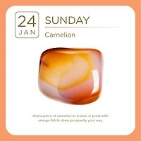 Crystal 2027 Box Calendar