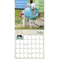 Lambies In Jammies And Goats In Coats 2026 Wall Calendar