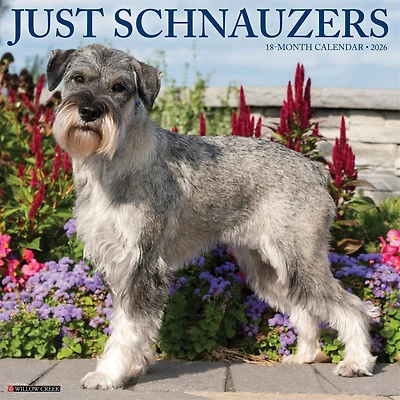 Just Schnauzers 2026 Wall Calendar - Online Only