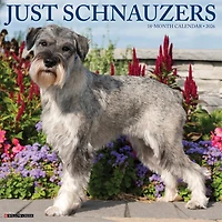 Just Schnauzers 2026 Wall Calendar - Online Only