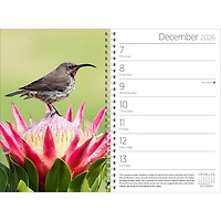 Audubon 2026 Engagement Calendar