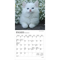 Chatons 2026 Mini Calendar (French)