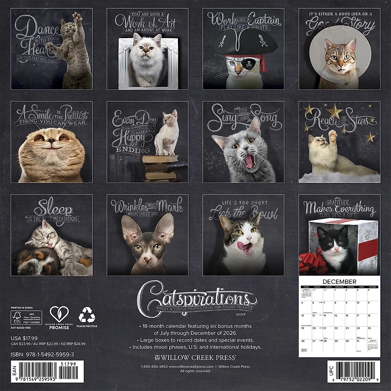 Catspirations 2027 Wall Calendar