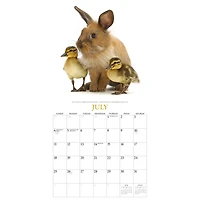 Bunnies and Friends 2027 Wall Calendar