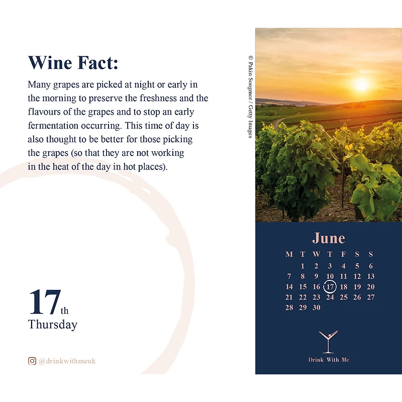 Wine Wisdom 2027 Box Calendar