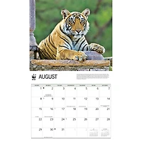 World Wildlife Fund Tigers 2027 Wall Calendar