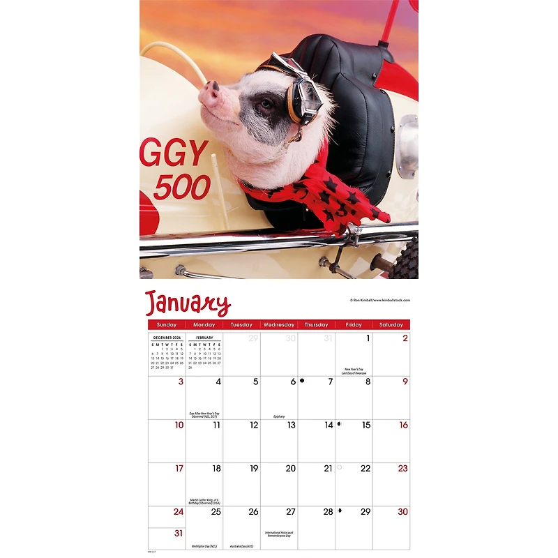 Playful Pigs 2027 Mini Calendar