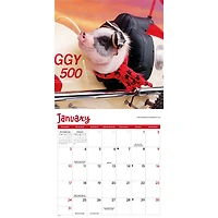 Playful Pigs 2027 Mini Calendar