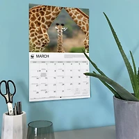 World Wildlife Fund Giraffes 2027 Wall Calendar