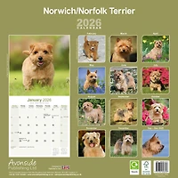 Norwich Norfolk Terrier 2026 Wall Calendar