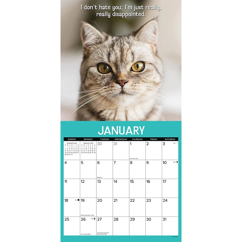 Cattitudes 2026 Wall Calendar