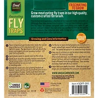 Fascinating Flytrap Seed Square