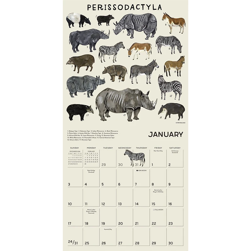 The Illustrated Animal Kingdom 2027 Wall Calendar - Online Only