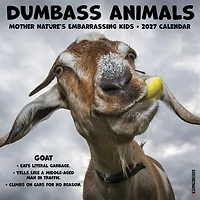 Dumbass Animals 2027 Wall Calendar