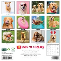 Goldens 12 Uses For 2026 Wall Calendar - Online Only