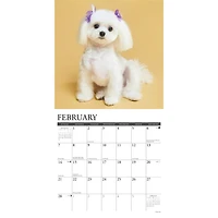 Maltese 2027 Wall Calendar - Online Only