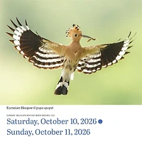 Audubon Birds 2026 Box Calendar