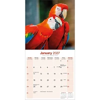 Macaws 2027 Wall Calendar