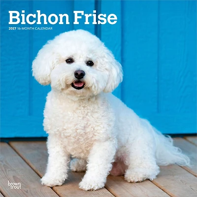 Bichon Frise 2027 Wall Calendar - Online Only