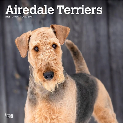 Airedale Terriers 2026 Wall Calendar