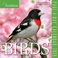 Audubon Birds 2026 Box Calendar