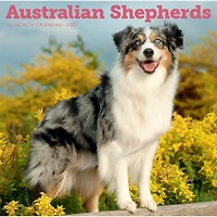 Australian Shepherds 2027 Wall Calendar