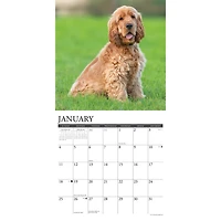 Just Cocker Spaniels 2026 Wall Calendar