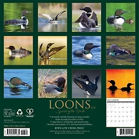 Loons 2026 Wall Calendar - Online Only
