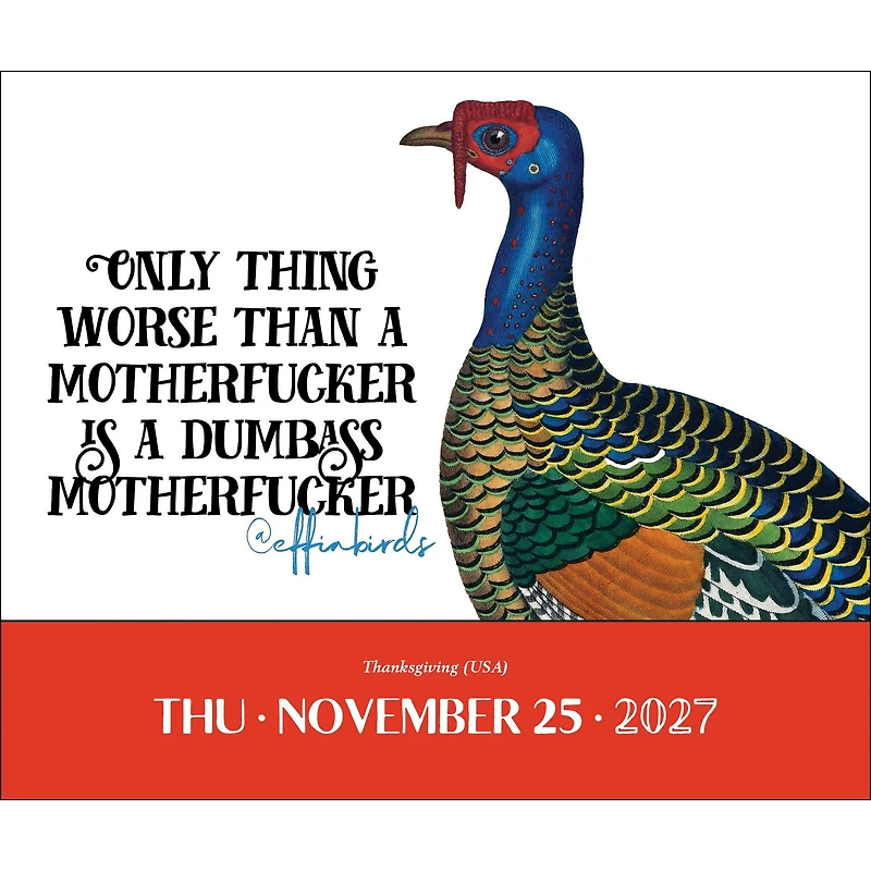 Effin' Birds 2027 Box Calendar