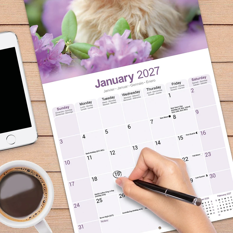 Norwich/Norfolk Terrier 2027 Wall Calendar - Online Only