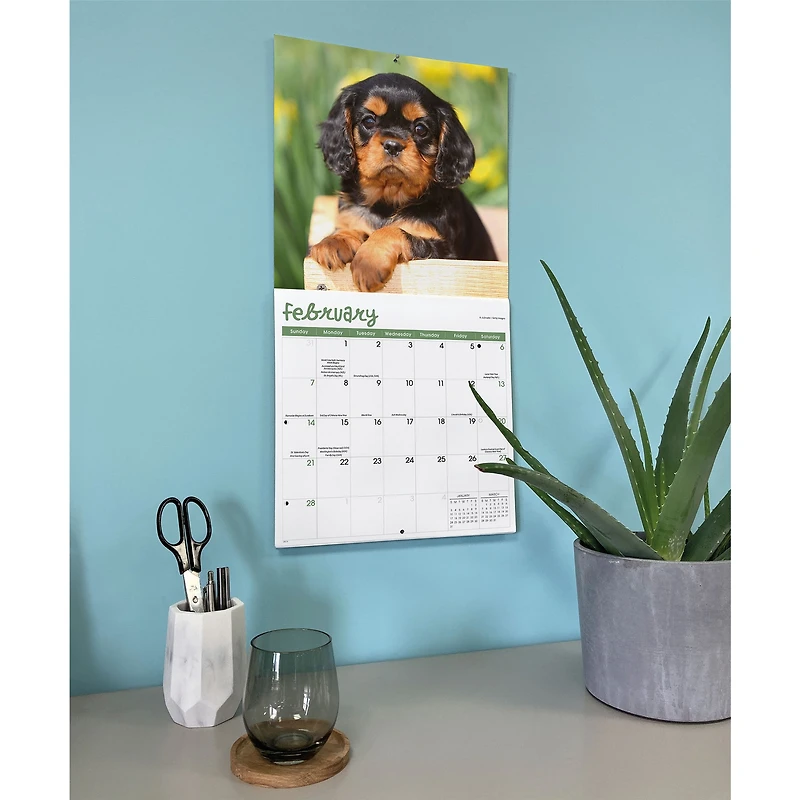 Puppies 2027 Wall Calendar