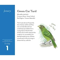 Field Guide to Dumb Birds 2027 Box Calendar