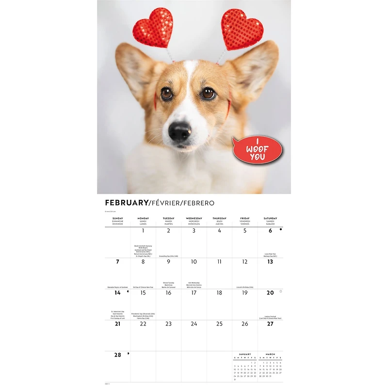 Corgi Capers 2027 Wall Calendar
