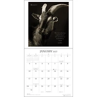 I Am Goat 2027 Wall Calendar