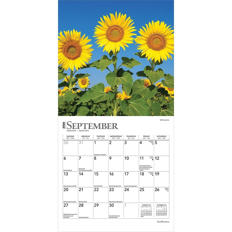 Sunflowers 2026 Mini Calendar