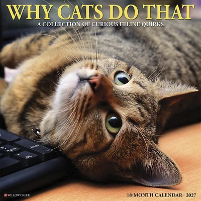 Why Cats Do That 2027 Wall Calendar