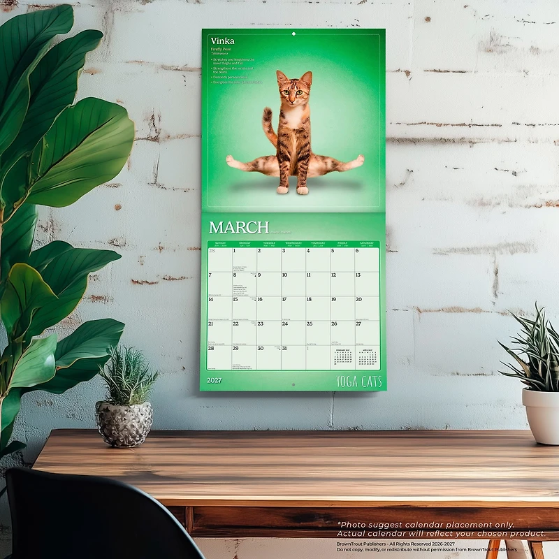 Yoga Cats 2027 Wall Calendar