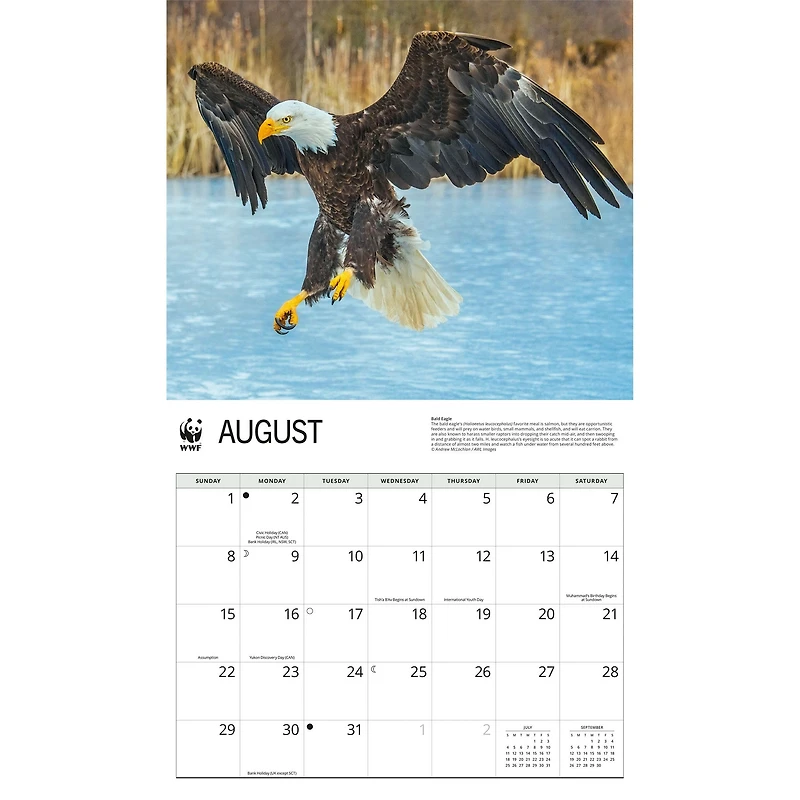 World Wildlife Fund Eagles 2027 Wall Calendar