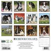 Border Collies 2027 Wall Calendar