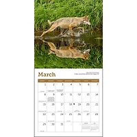 Wolves 2026 Mini Calendar