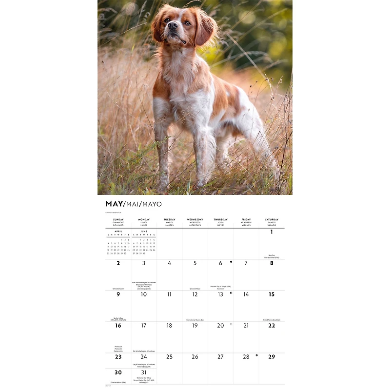 Brittanys 2027 Wall Calendar