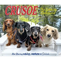 Crusoe The Celebrity Dachshund 2026 Box Calendar - Online Only