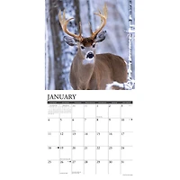 Whitetail Monarchs 2026 Wall Calendar