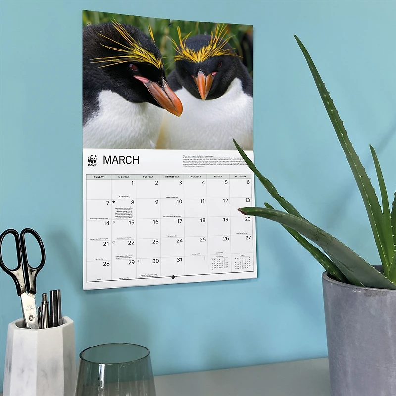 World Wildlife Fund Penguins 2027 Wall Calendar